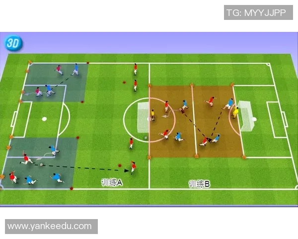 重庆足球队战术解析与未来发展方向的深度探讨